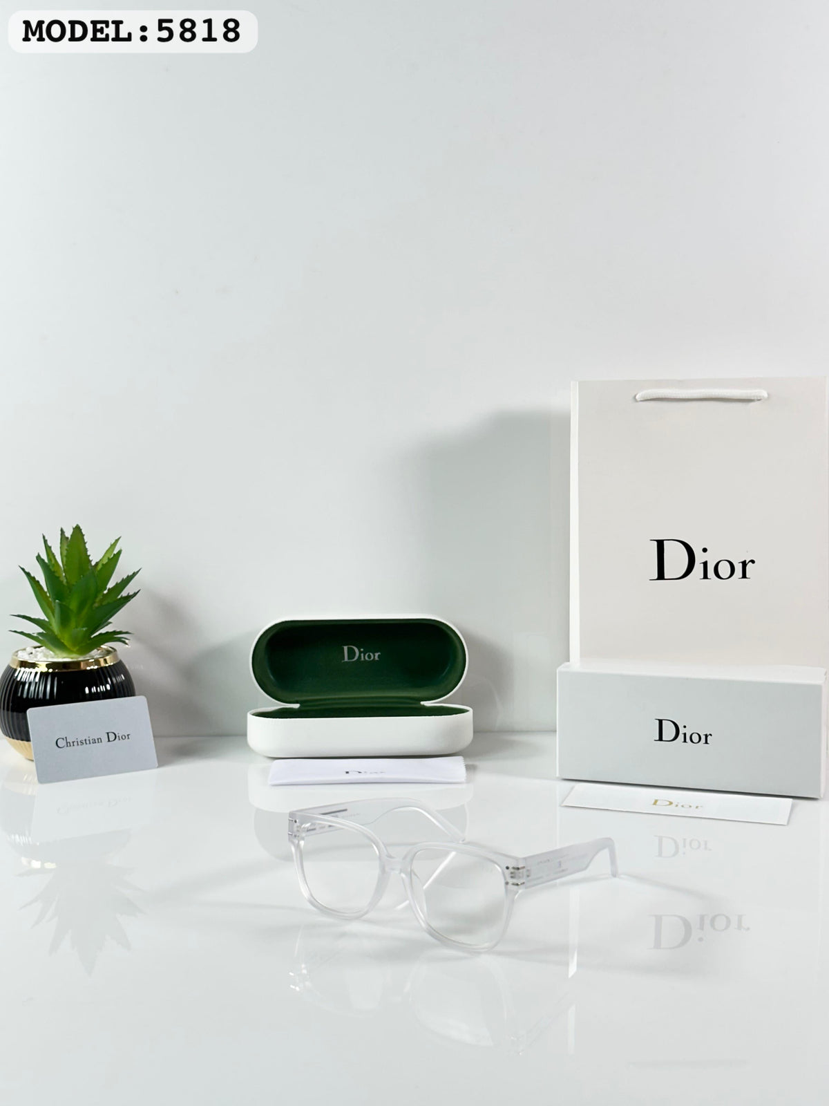Chriatian Dior 5818 Ice day